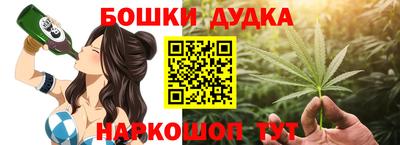 МДПВ Кингисепп