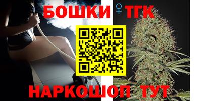 МДПВ Кингисепп