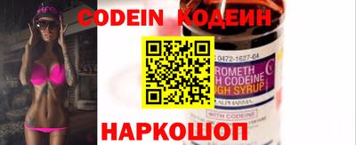 МДПВ Кингисепп