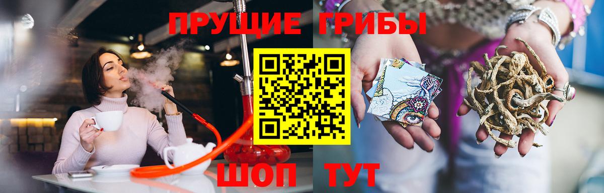 наркота  Вход с VPN  Волжский  Псилоцибиновые грибы ЛСД  Галлюциногенные грибы Cubensis 