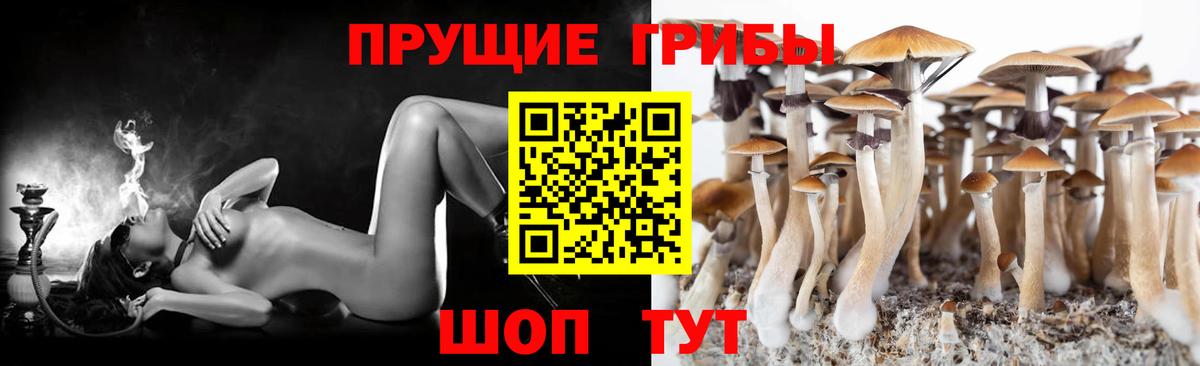 Псилоцибиновые грибы мицелий Волжский